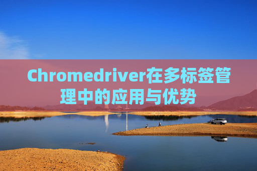 Chromedriver在多标签管理中的应用与优势 Chromedriver在多标签管理中的应用与优势